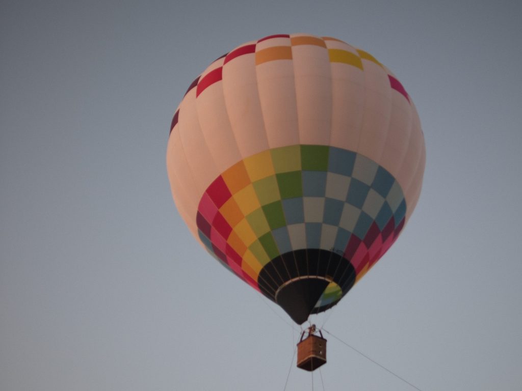 所属団体からの投稿